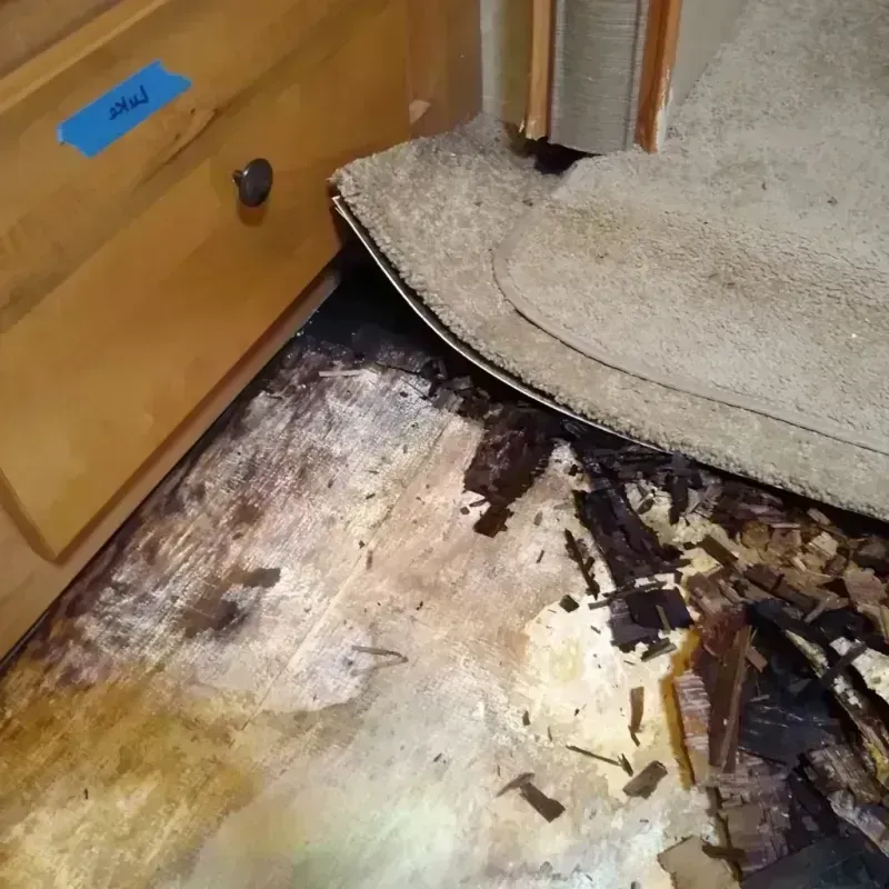 Wood Floor Water Damage in Harbor Beach, MI